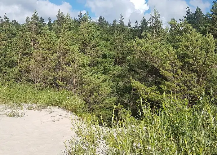 Dom wakacyjny Monciske Połąga